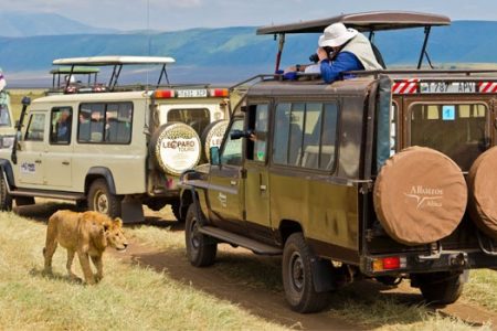 Maasai Mara Safari