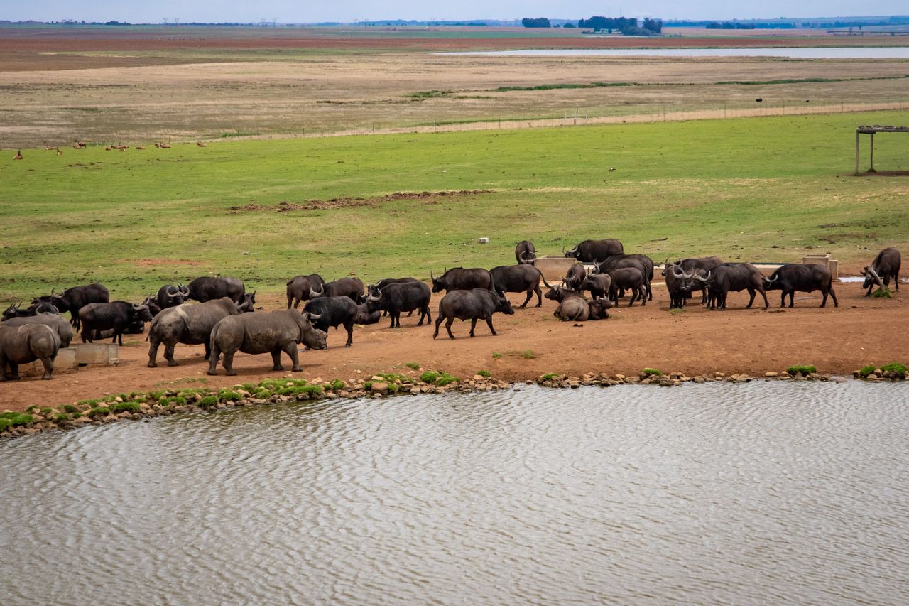2 Days Amboseli Safari
